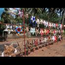 Weihnachtssterne für einen Wettbewerb